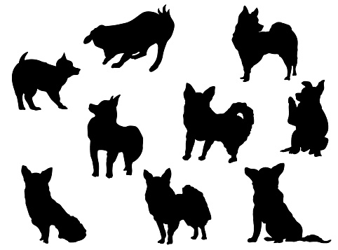 Silhouettes of dog