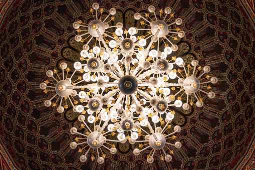 View of the chandelier and ceiling ornament
