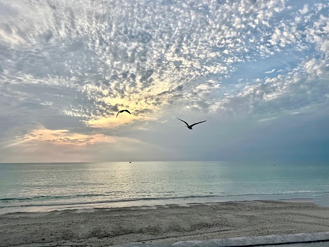 Pass-a-Grille Beach, Florida near sunset with gentle water and clouds as two birds soar across sky