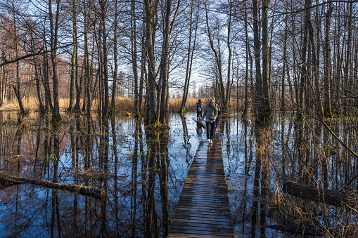 Jurmala, Latvia - March 3, 2024: People on a boardwalk in a flooded forest