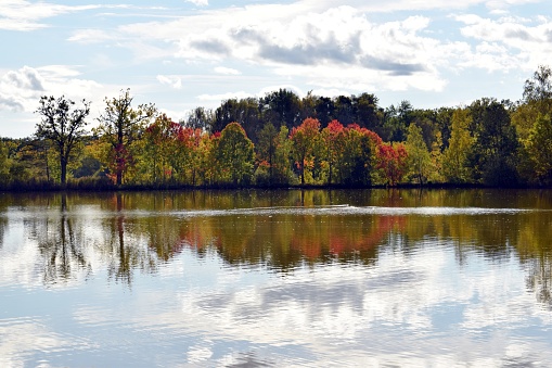 Pond in South Bohemia in Czech Republic, belonging to the natural locality 