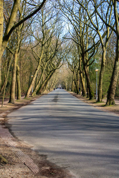 istock Views of Vondelpark in Amsterdam in winter 2089032302