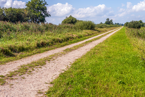 Long unpaved path with cart tracks in a Dutch nature reserve. The photo was taken in the province of North Brabant on a slightly cloudy day in the summer season.