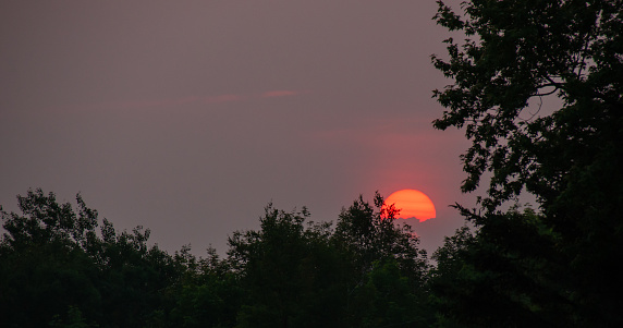 A sun sets over a forest on hazy clouds due to a forest fire