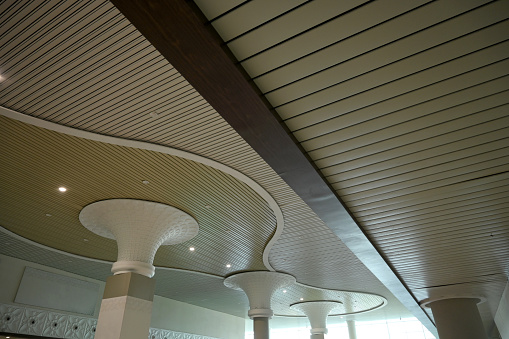Unique ceiling lines