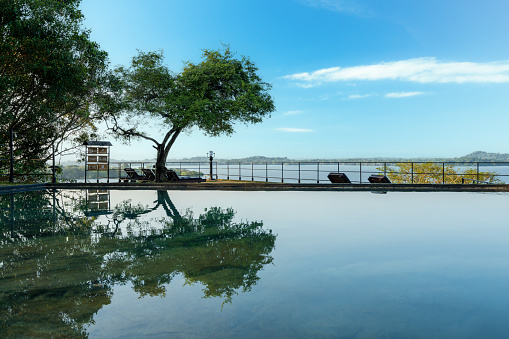 A tranquil infinity pool at Heritance Kandalama, Sri Lanka, under a clear blue sky with lounge chairs under the shade of a tree.