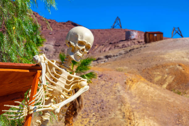 Calico Ghost Town,  California, United States - October 6, 2023: Skeleton on an old wooden cart