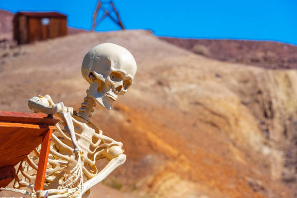 Calico Ghost Town,  California, United States - October 6, 2023: Skeleton on an old wooden cart