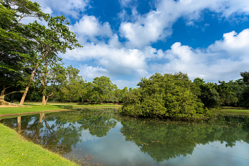 Sigiriya Rock Under Blue Sky, Sri Lanka. A picturesque view of Sigiriya Rocks pool and greenery under a clear blue sky in Sri Lanka.