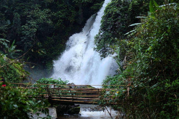 istock Bamboo bridge crossing canals and beautiful Waterfall on the mountain and stream flowing on the rock of tropical rain forest in national park at Thailand 2089108535