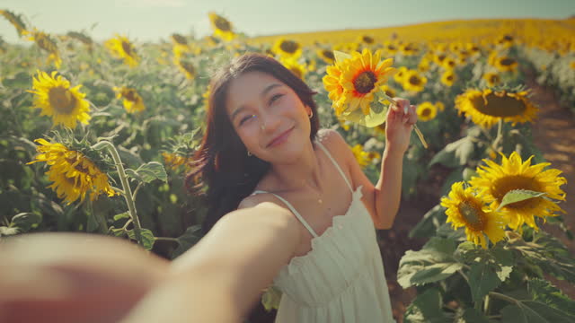 Young smiling asian woman taking selfie photo and video with mobile smartphone in sunflower field, Young beautiful female enjoy nature watch look at plants. Rural country summer morning