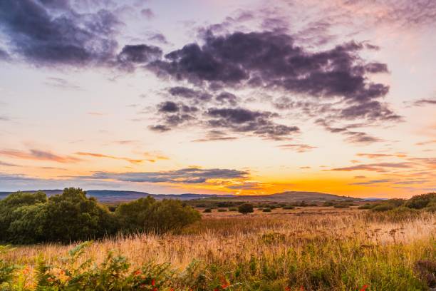 istock Summer Landscape in Scotland, UK 2089124422