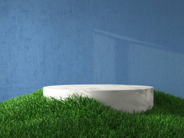 istock Marble Podium Stand with Green Grass and Blue Wall 2089126621