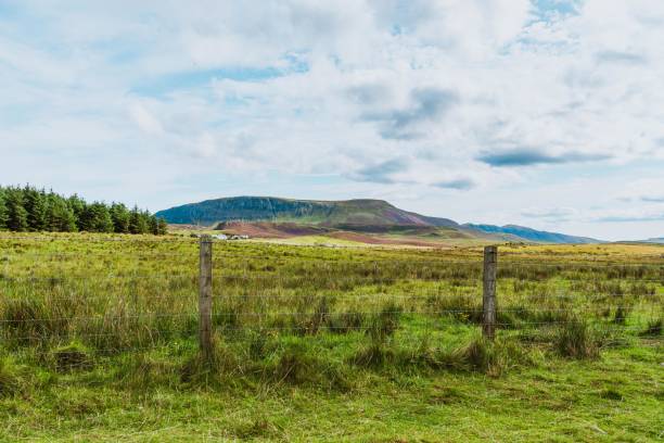 Summer Landscape in Scotland, UK