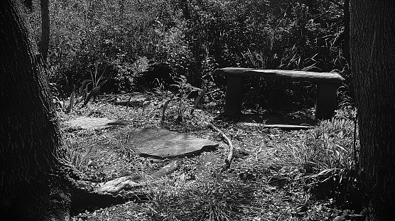 An abandoned scene in Black and white.