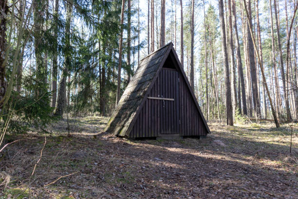 A small triangular wooden house in the middle of the forest