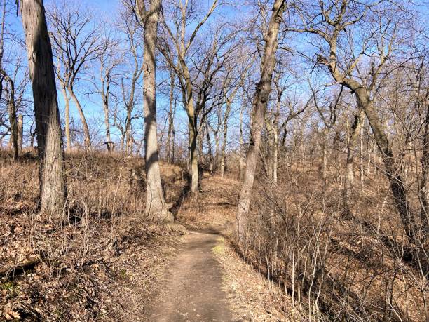 istock Fontenelle Forest in Bellevue, Nebraska 2089201677