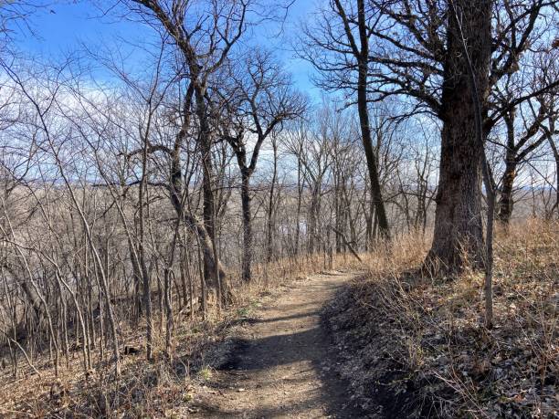 istock Fontenelle Forest in Bellevue, Nebraska 2089203484