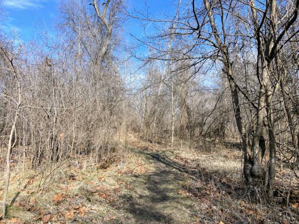 istock Fontenelle Forest in Bellevue, Nebraska 2089206113