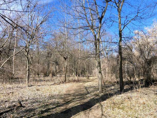 istock Fontenelle Forest in Bellevue, Nebraska 2089207082