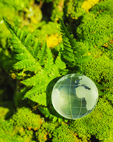Save our planet. Earth day 3d concept background. Ecology concept. Design with 3d globe map drawing and leaves isolated on white background.