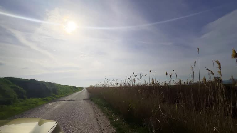 Driving on a Valley in Sunny Day