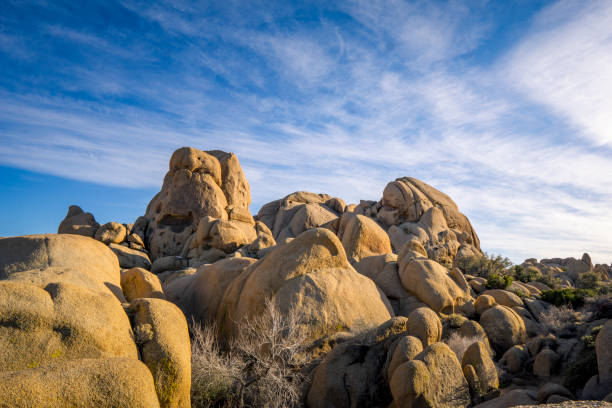 istock Joshua Tree National Park, California 2089284670