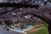 Japanese garden near the Microsoft office.