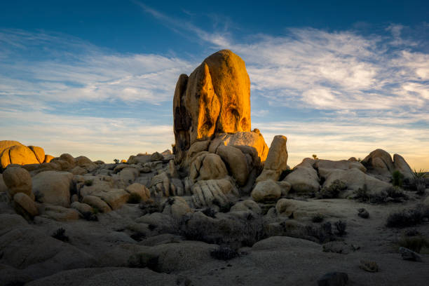 istock Joshua Tree National Park, California 2089298653