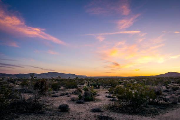 istock Joshua Tree National Park, California 2089303309