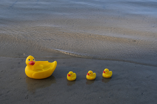 Rubber duck on sandy surface