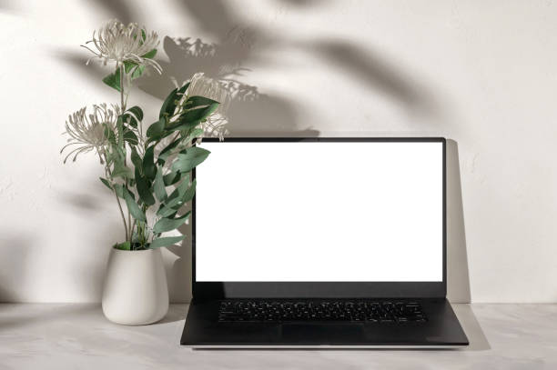 istock Computer laptop with white empty screen mockup, flowers in vase on neutral beige marble table, textured plaster wall background with soft sunlight shadows, minimal business design template 2089398900
