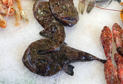 Monkfish fish with wide snout and open mouth on the ice of the counter for sale in the fish shop at the fish market with other types of fish such as squid and moorhen