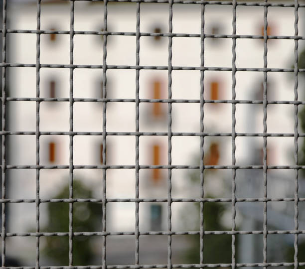 metal fence separating the border and the building intentionally blurred in the background