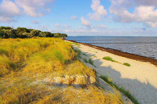 Poel beach at the black bush on the island of Poel in Germany