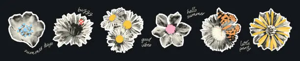 Vector illustration of Wild flowers halftone collage elements set vector illustration