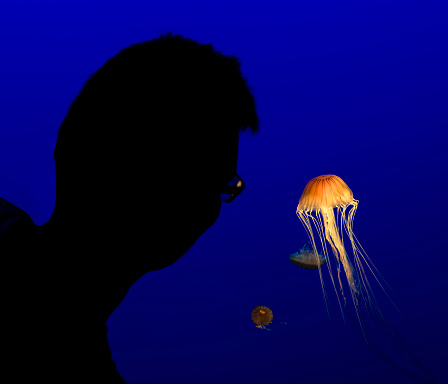 Man looking at jellyfish in Aquarium