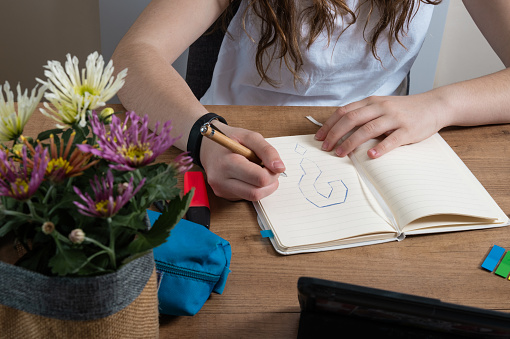 Girl at a desk in her room writing her notes in a notebook. Some of her hair is showing
