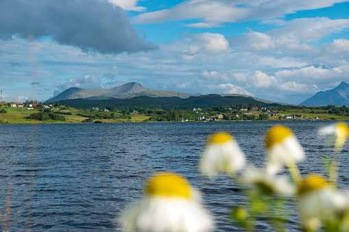 A charming view of a small village and mountains across the loch on Isle of Skye. Beautiful green rugged coastal landscape on a sunny summer day with blurred blooming wildflowers in the foreground.