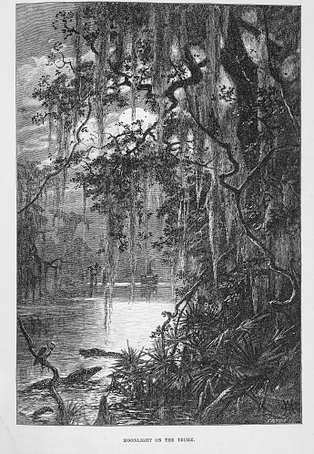 Illustration from  Harpers Monthly Magazine LXXIV December-1886-May-1887:- Moonlight on the water of Bayou Teche, Louisiana, Cajun country illuminates the water,  Spanish moss, alligators and an owl on a branch. with a steam boat in the distance.