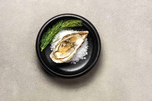 istock Half shell shucked oysters on a bed of salt 2089570021