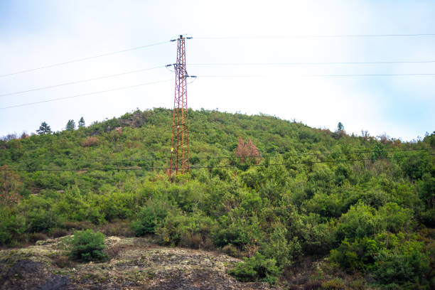 Concealed within the bushes, an electric rod seamlessly blends technology and nature, harmonizing infrastructure with the greenery that surrounds it.