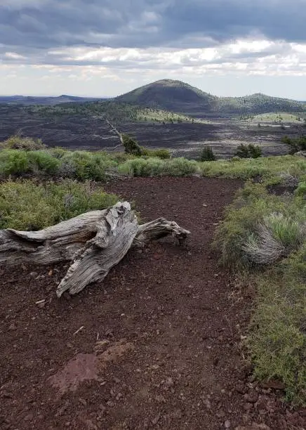 path at Craters of the Moon National Monument & Preserve