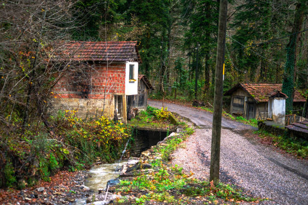 A charming village road winds past a tiny house, creating a picturesque scene of rural simplicity and idyllic countryside living.