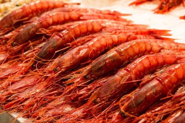 istock fish market with many different fresh fishes 2089613861