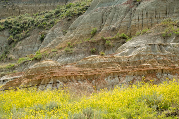 Summer scenery at Theodore Roosevelt National Park, North Dakota, USA