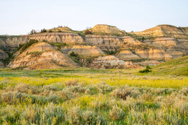 istock Summer scenery at Theodore Roosevelt National Park 2089677462
