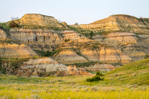 Summer scenery of the Badlands National Park. Picture taken in early June after rains in South Dakota, USA.
