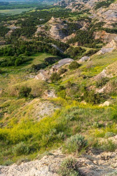 istock Summer scenery at Theodore Roosevelt National Park 2089678501