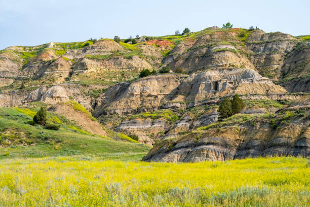 istock Summer scenery at Theodore Roosevelt National Park 2089680047